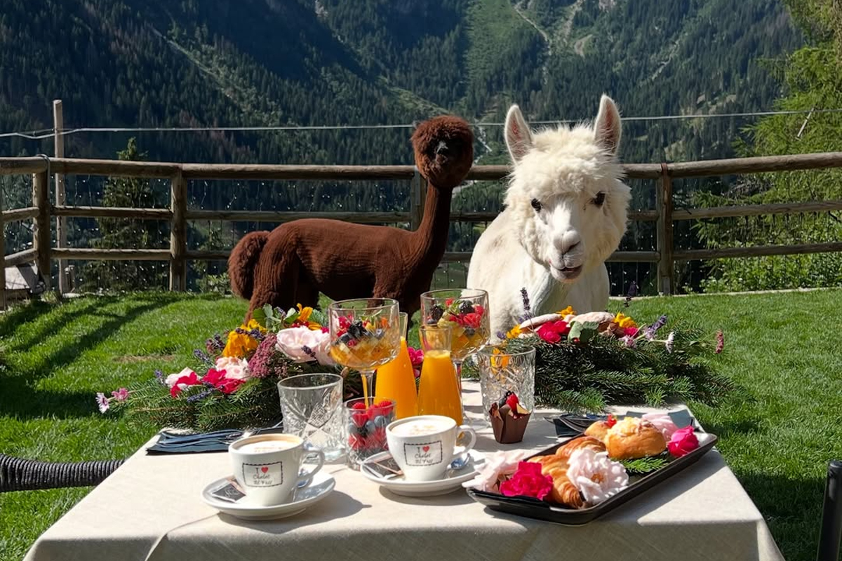 Alpaca Hotel Chalet Al Foss Trentino