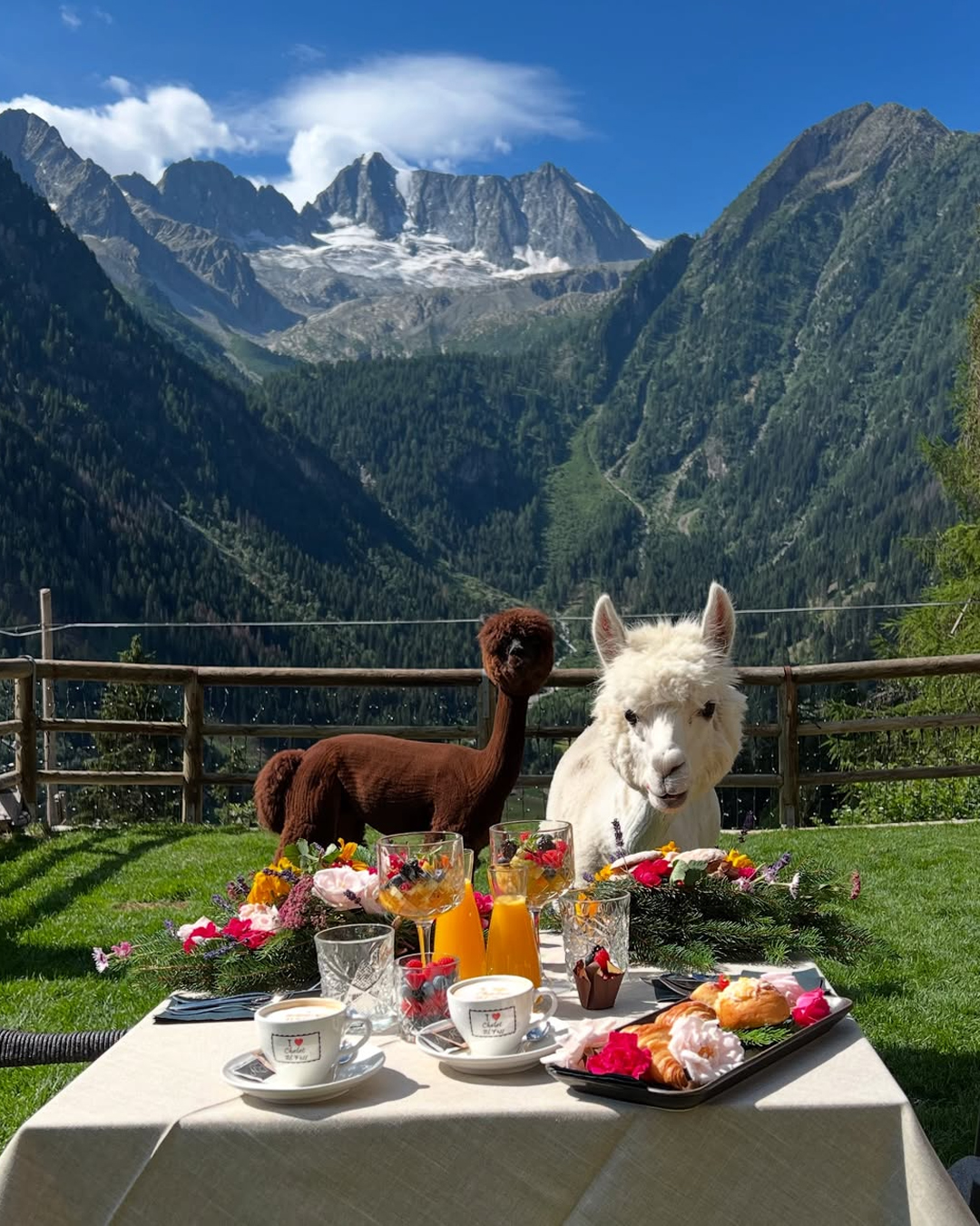 Alpaca Hotel Chalet Al Foss Trentino