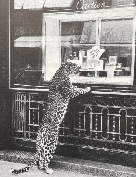 Cartier Panthère storia campagna adv