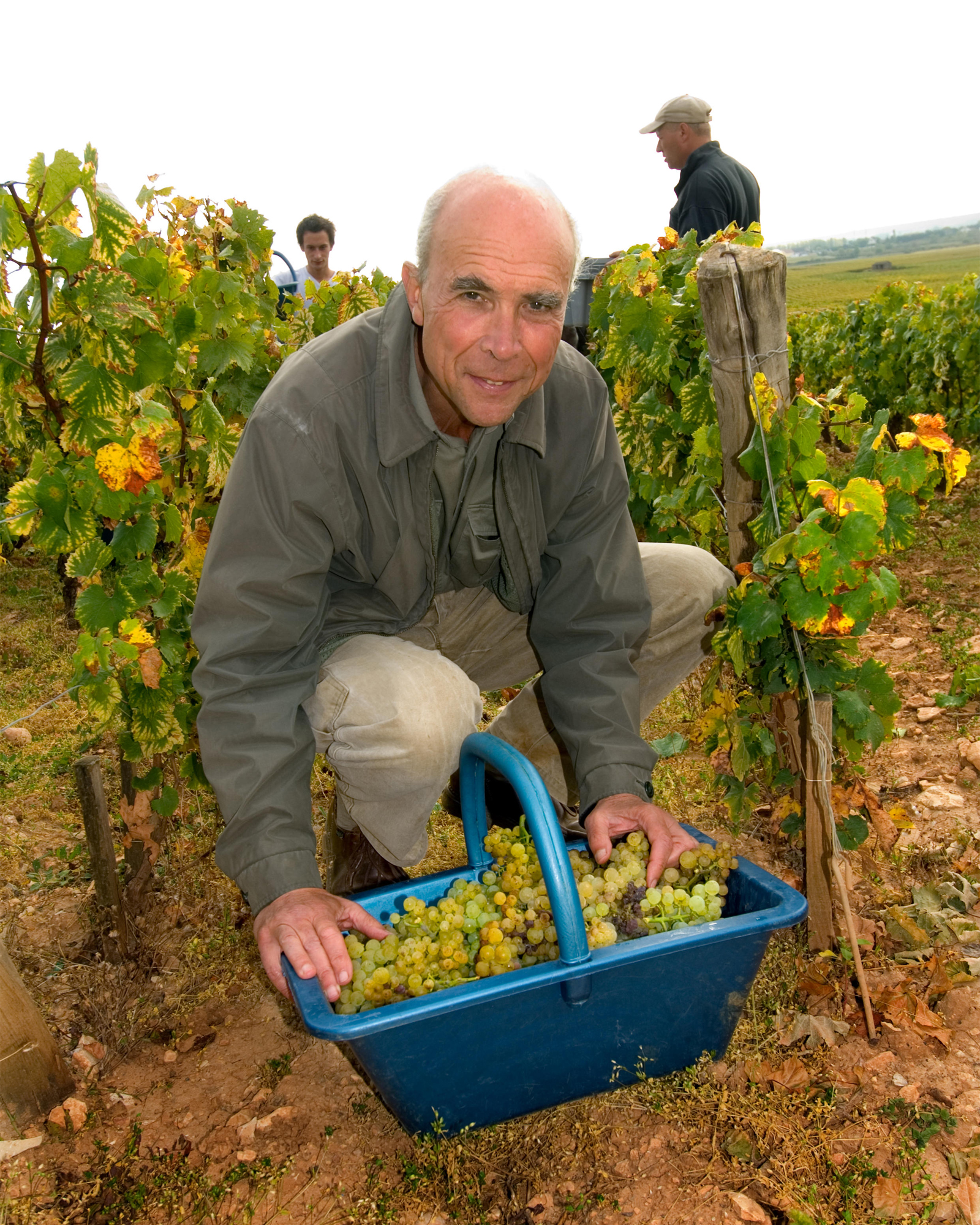 Domaine de la Romanée-Conti vino borgogna storia