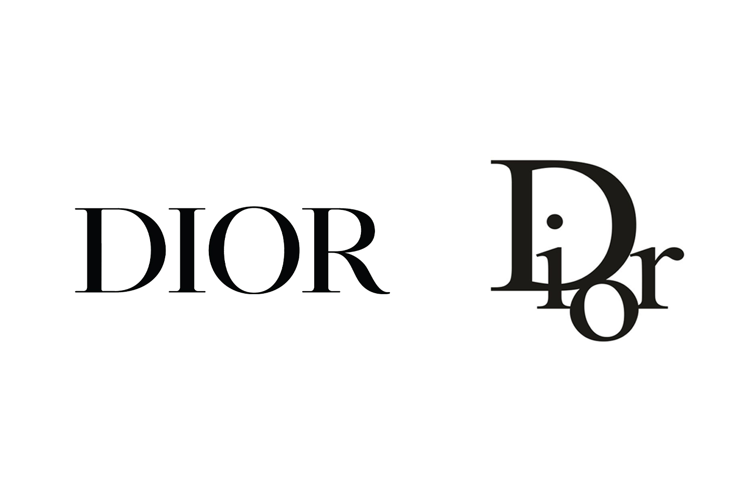 Dior logo 2018 storia Oblique