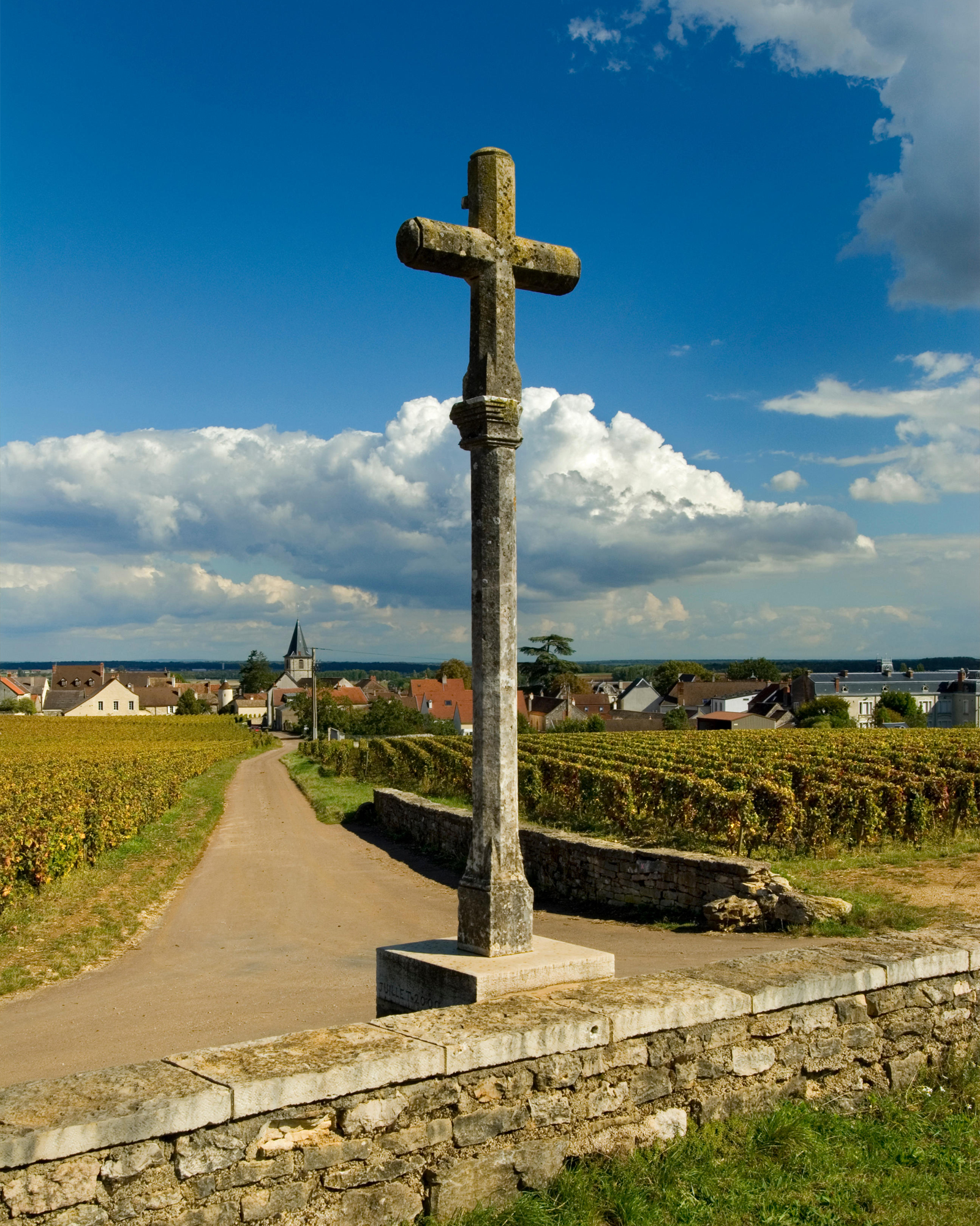 Domaine de la Romanée-Conti vino borgogna storia