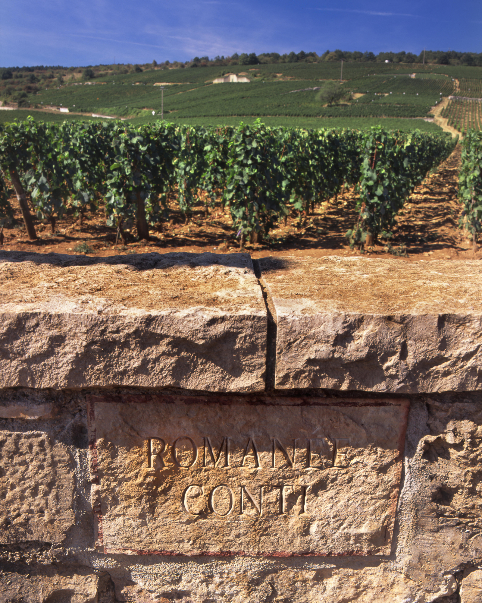 Domaine de la Romanée-Conti vino borgogna storia