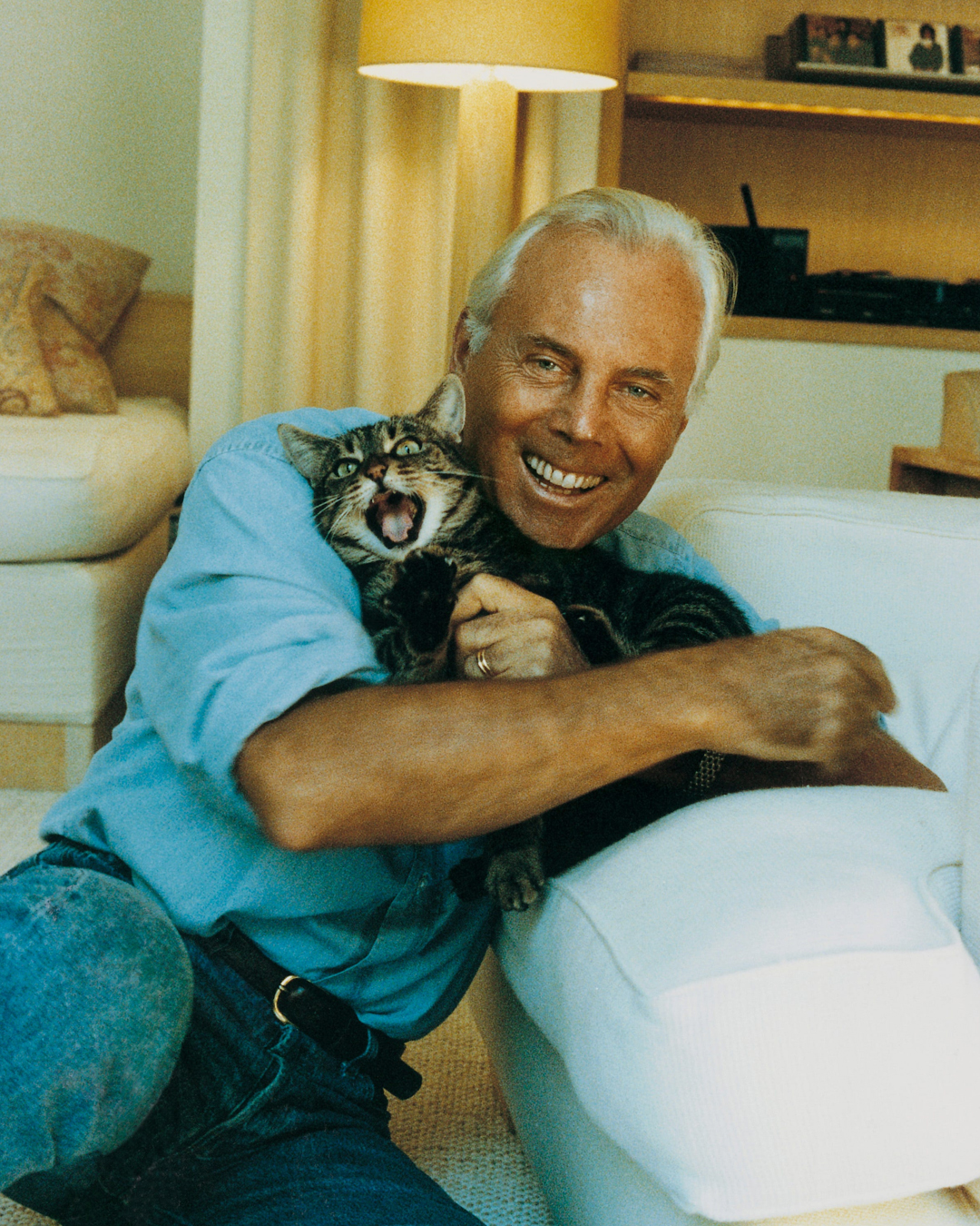 Giorgio Armani gatto