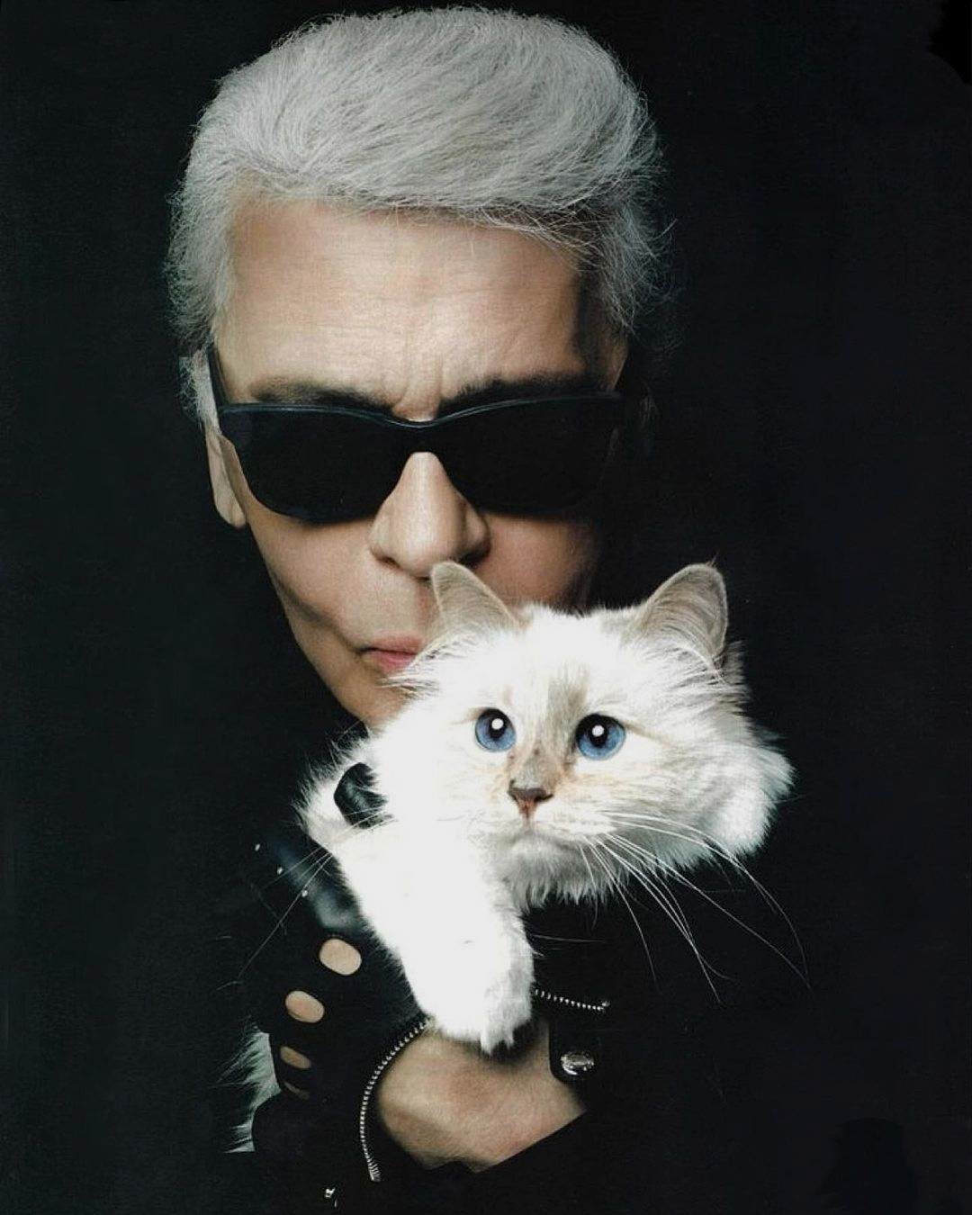 Karl Lagerfeld Choupette gatto