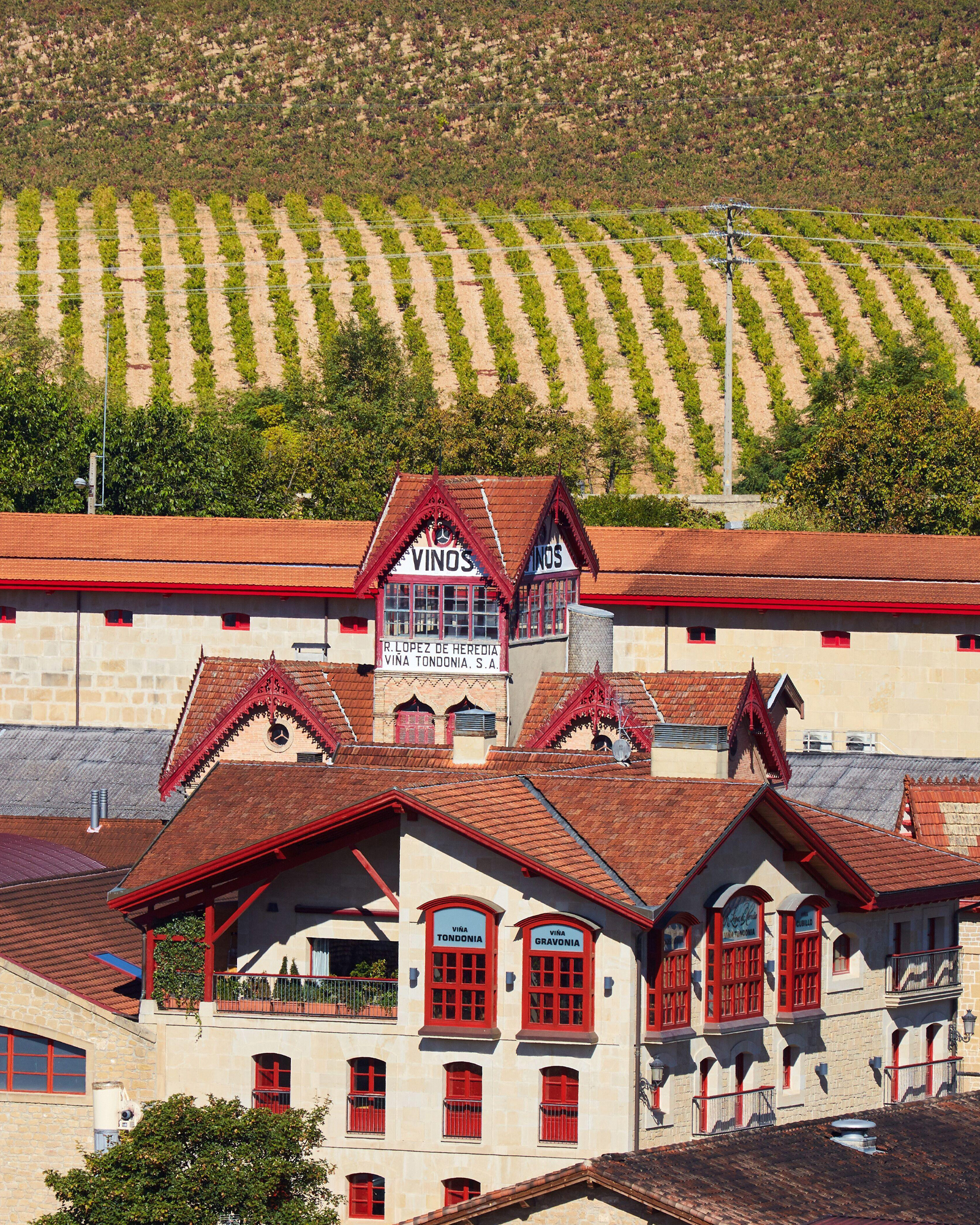 López de Heredia Viña Tondonia cantina vino La Rioja Spagna