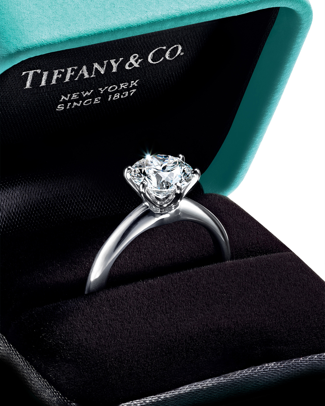 Tiffany & Co. Setting diamante gioiello