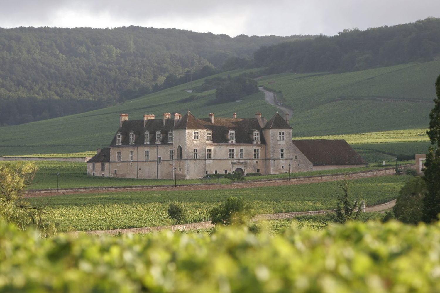 Château du Clos de Vougeot castello simbolo Borgogna Grand Cru