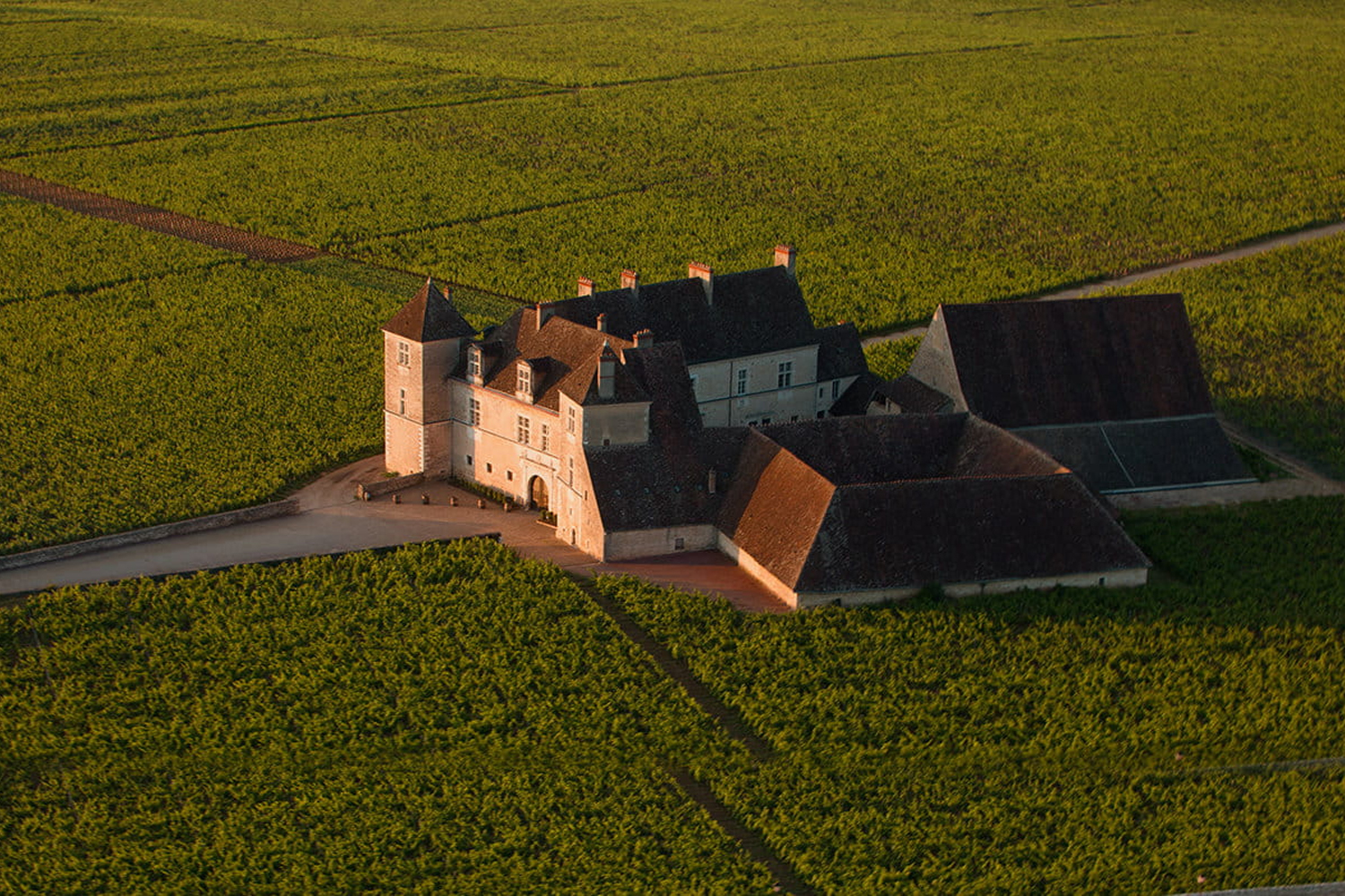 Château du Clos de Vougeot castello simbolo Borgogna Grand Cru