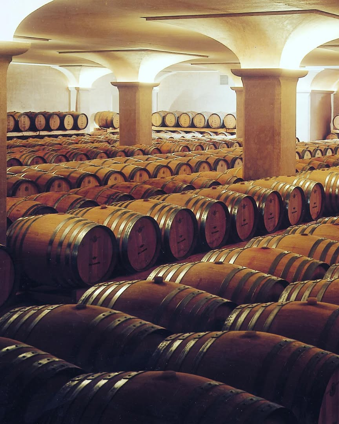 Tenuta San Leonardo cantina vino Trentino barrique