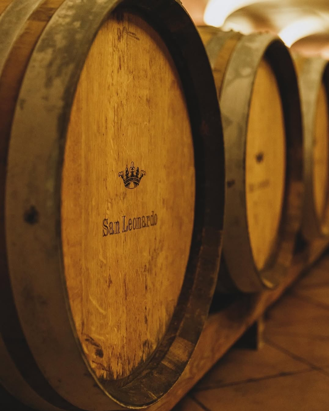 Tenuta San Leonardo cantina vino Trentino barrique