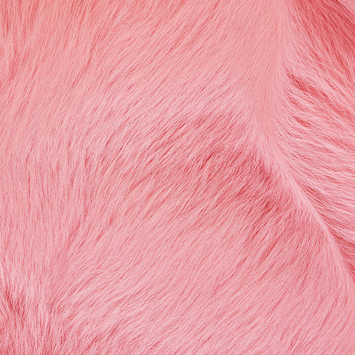 Petal colore Bottega Veneta