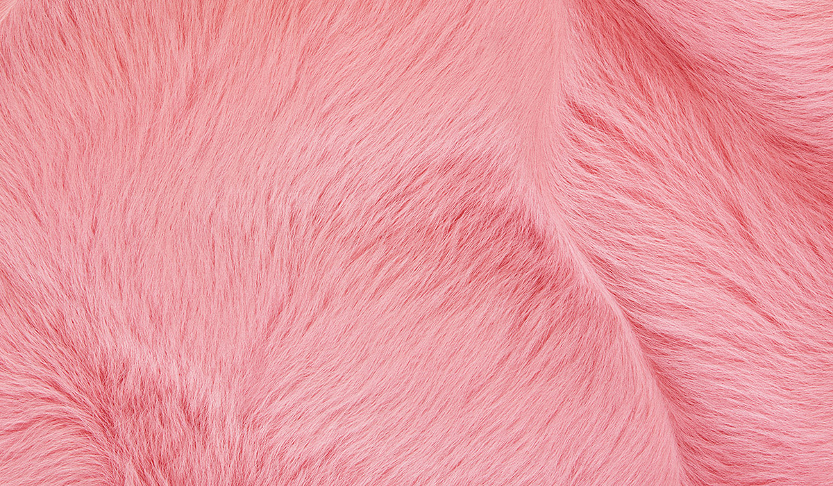 Petal colore Bottega Veneta