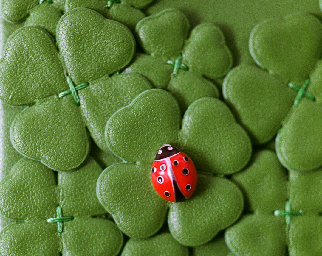Quadrifoglio Coccinella Lady Dior Clover bag