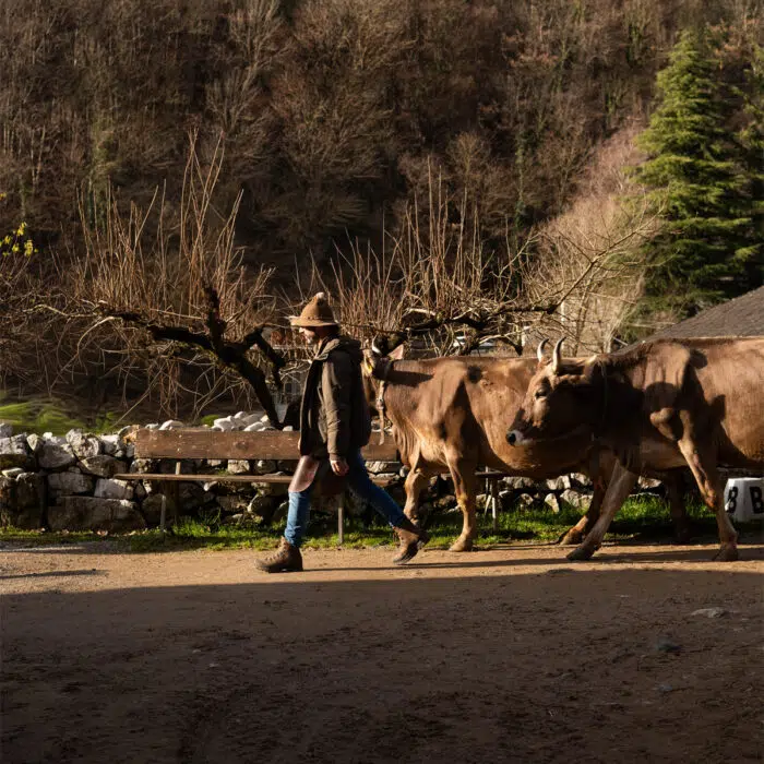 Ferdinando Quarteroni Ferdy Wild Intervista