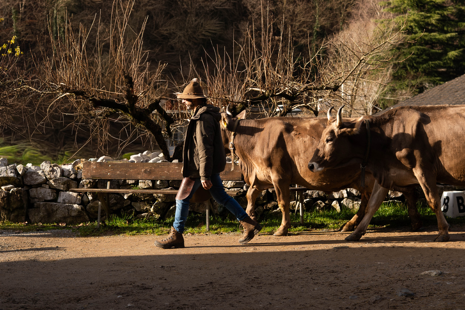 Ferdinando Quarteroni Ferdy Wild Intervista