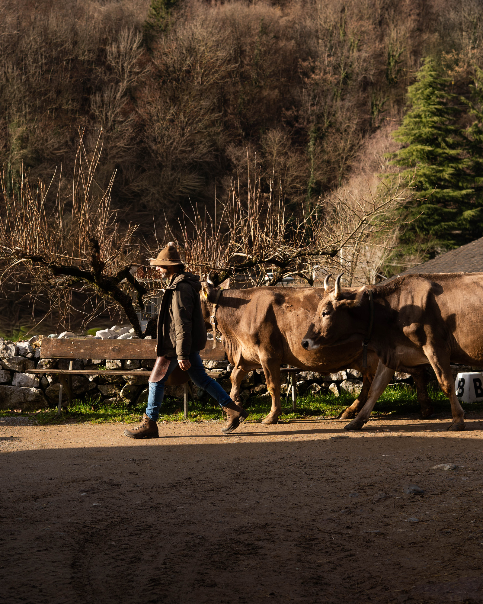 Ferdinando Quarteroni Ferdy Wild Intervista