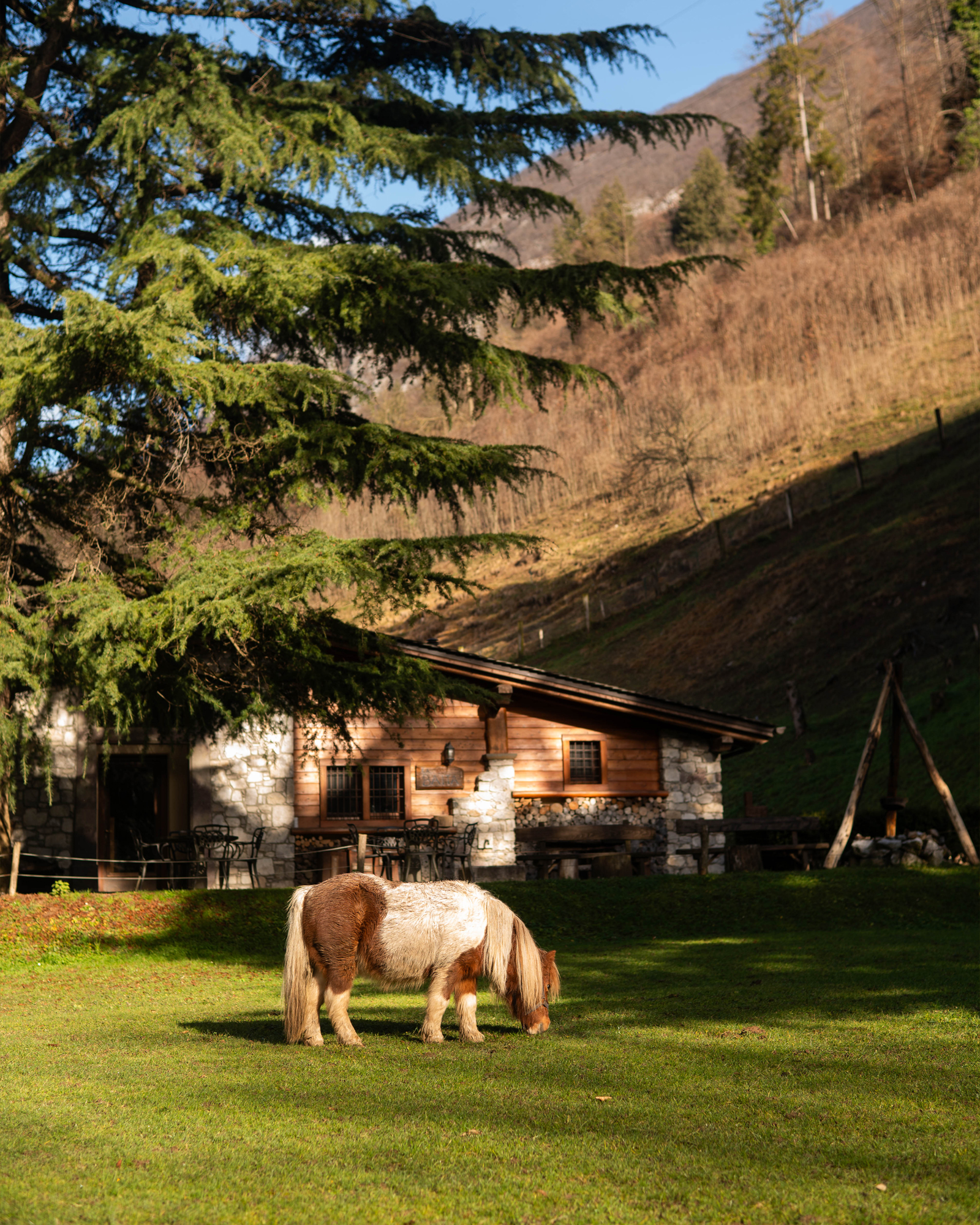 agriturismo Ferdy Wild Lenna Val Brembana natura animali pony