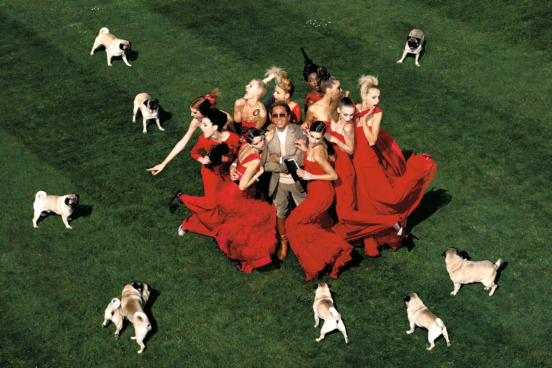 Valentino Garavani Carlini cani