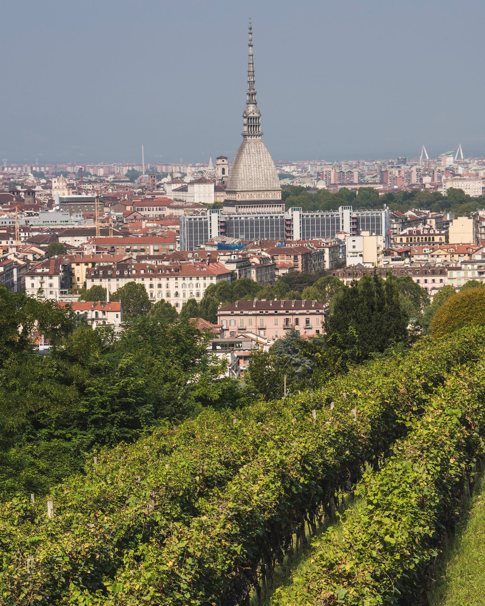 Vigna della Regina Torino Vigna Urbana Mole Antonelliana