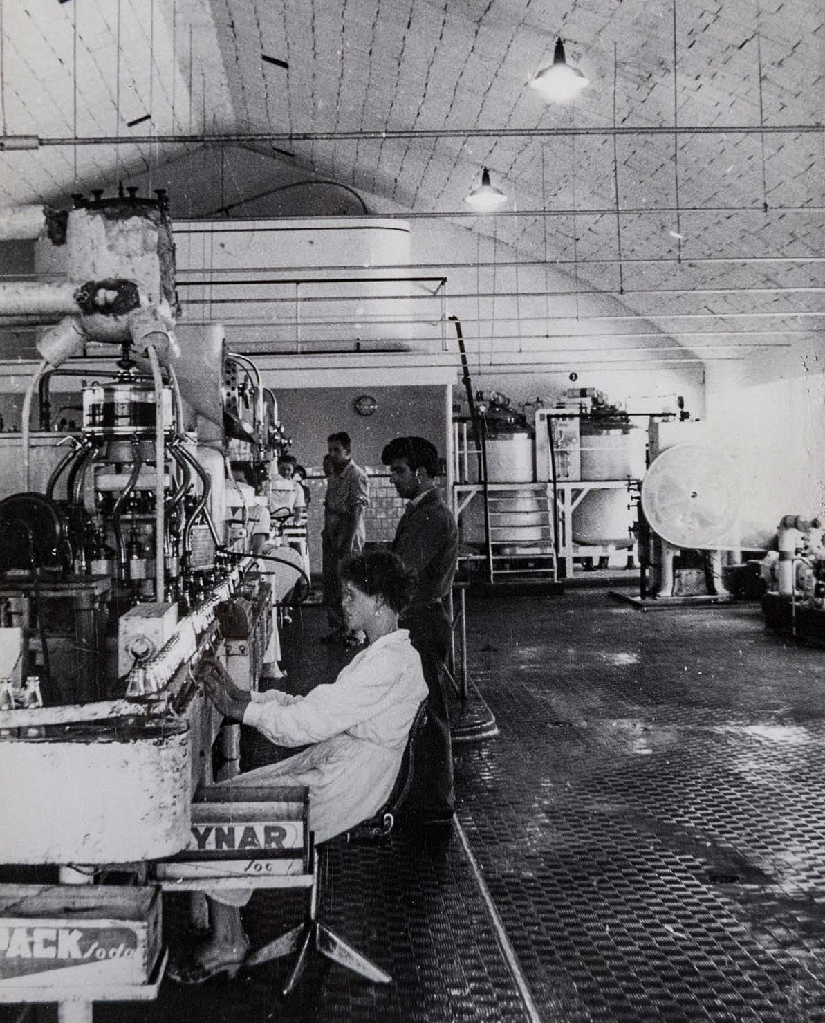 Cynar fabbrica storia