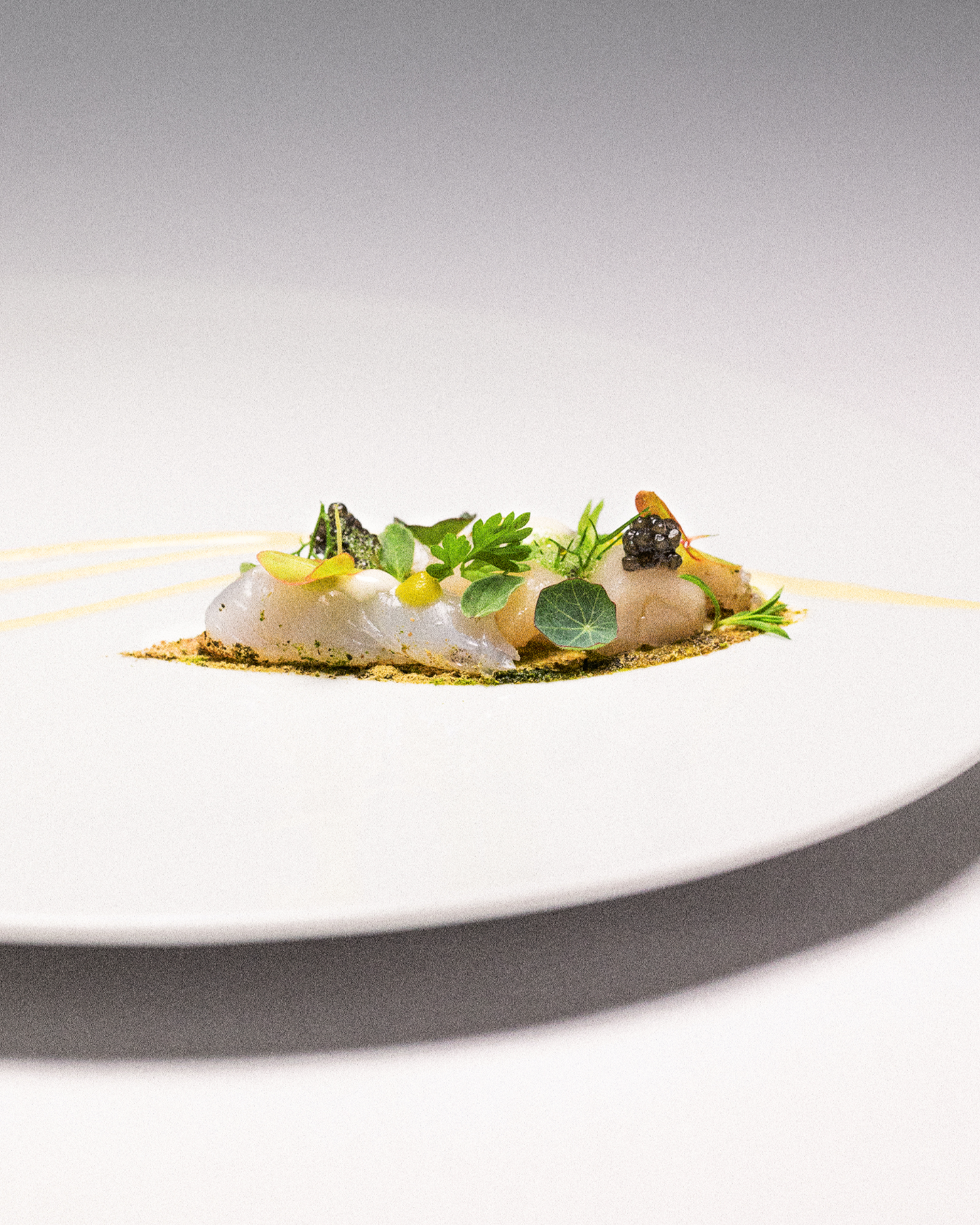 Ristorante Cavallino piatto Aerodinamica menu La Genesi Ferrari