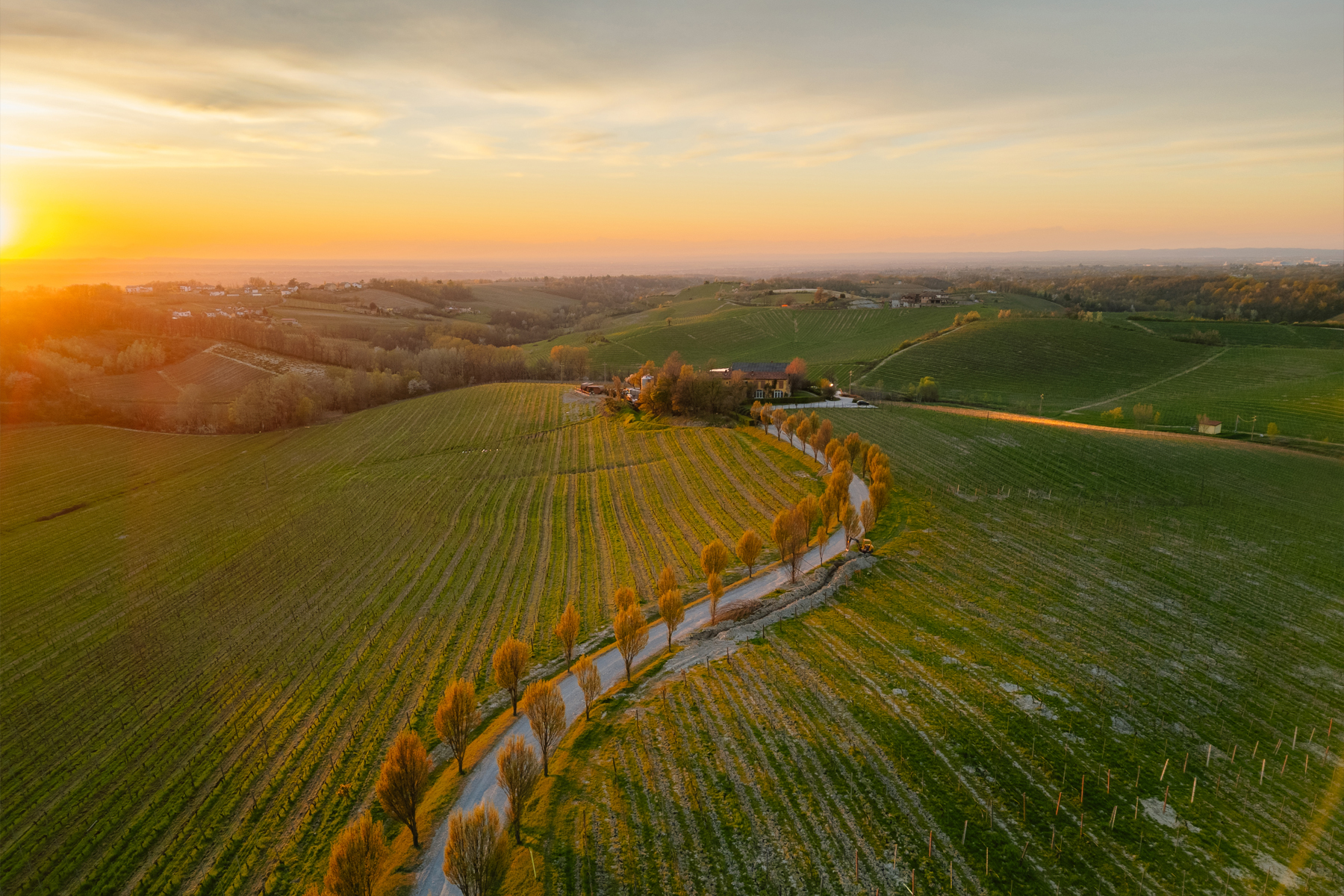 Vinova Wine Suites albergo dormire vigneto Gavi Piemonte