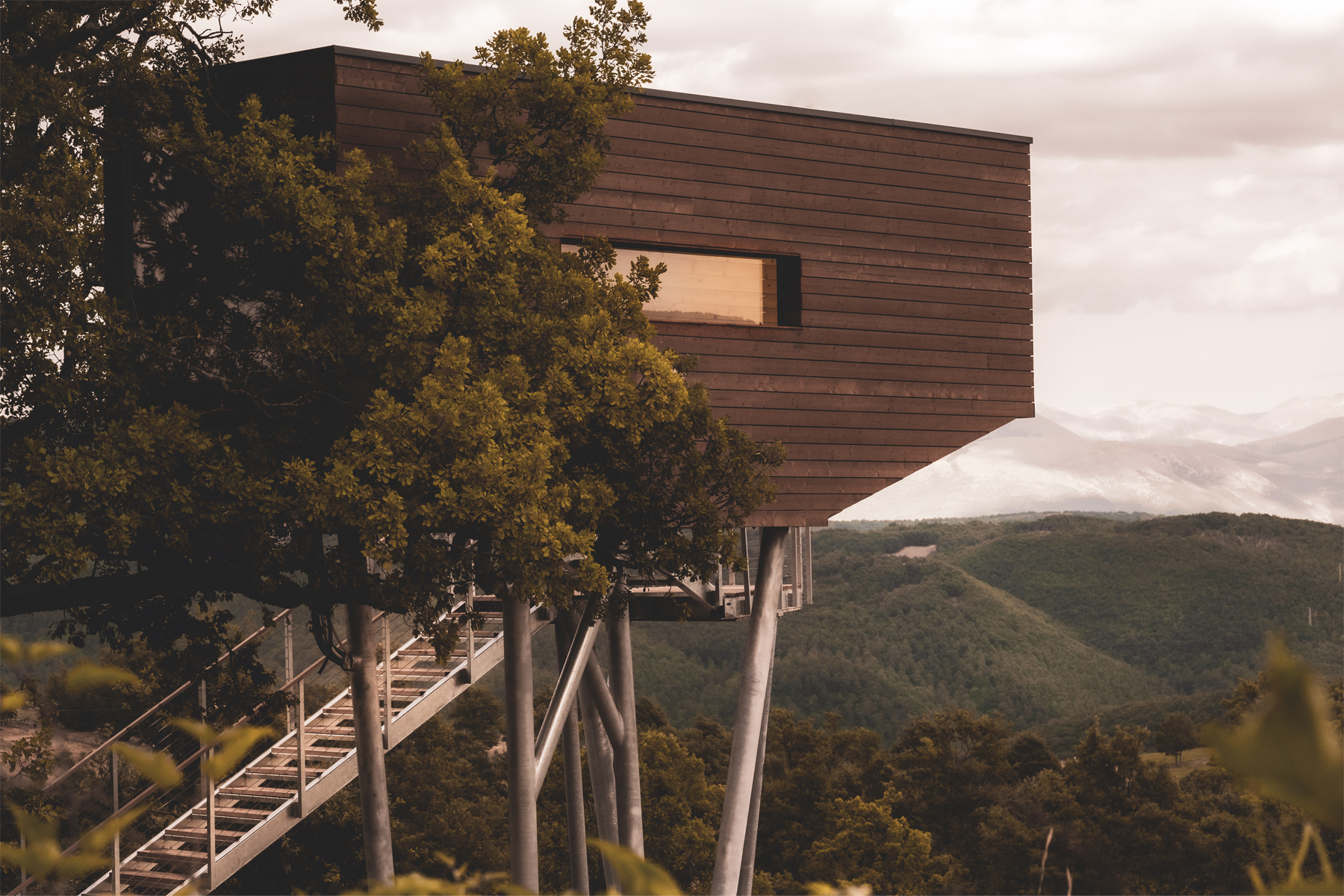 Walden House casa alberi design Casarampi