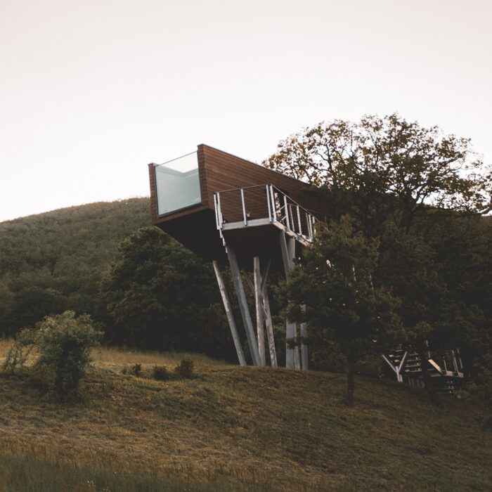 Walden House casa alberi design Casarampi