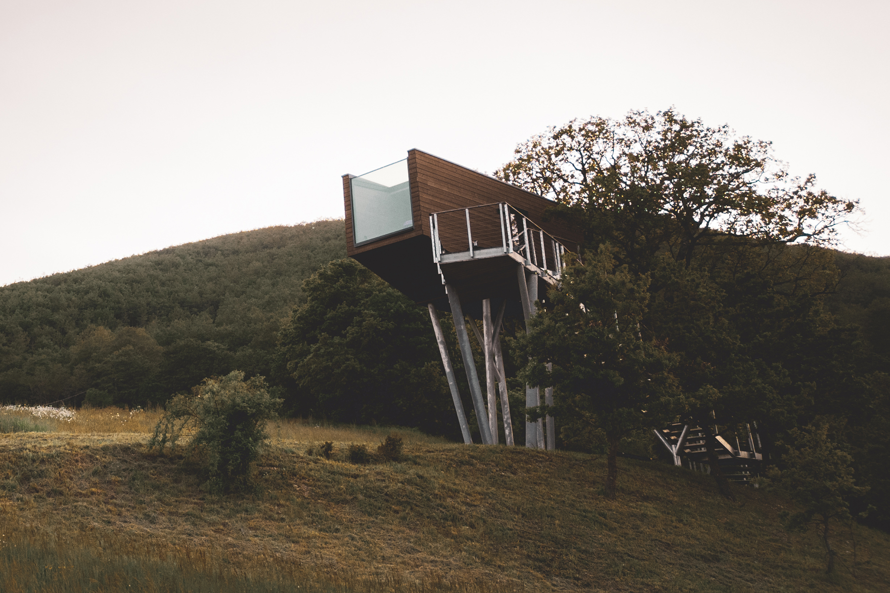 Walden House casa alberi design Casarampi