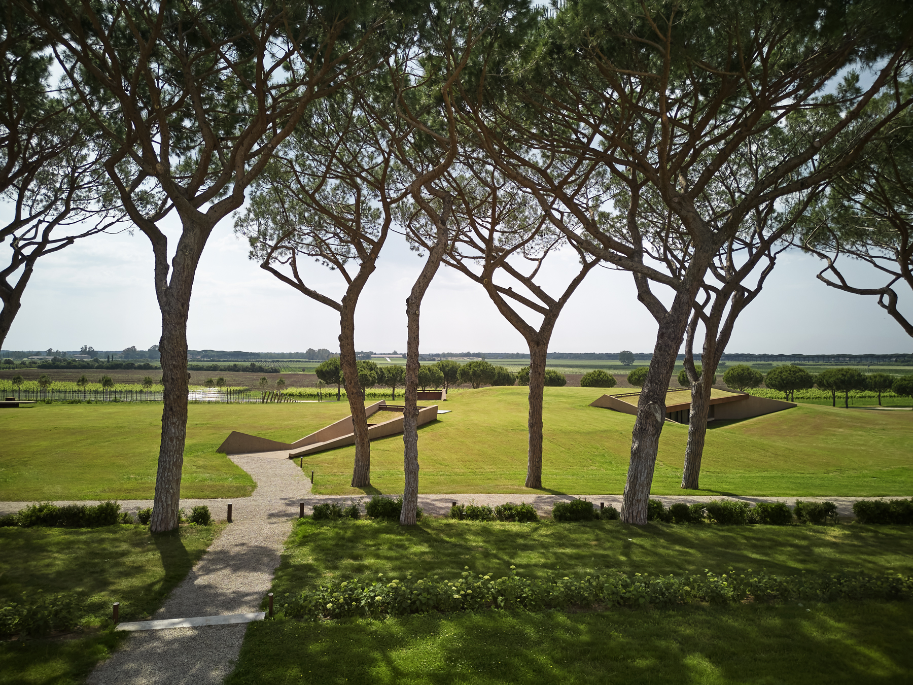 Tenuta Guado al Tasso Bolgheri cantina vino Marchesi Antinori