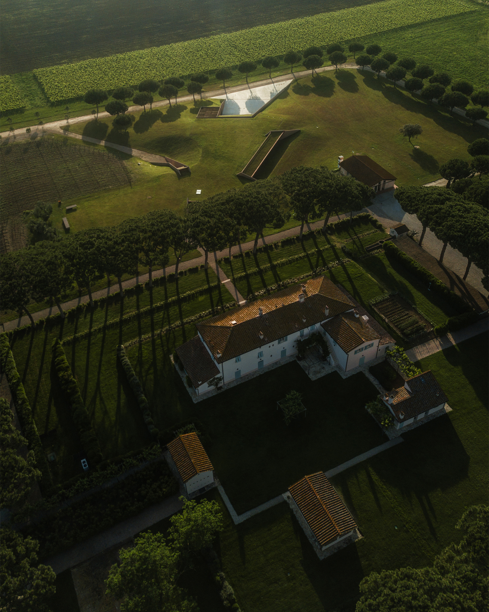 Tenuta Guado al Tasso Bolgheri cantina vino Marchesi Antinori