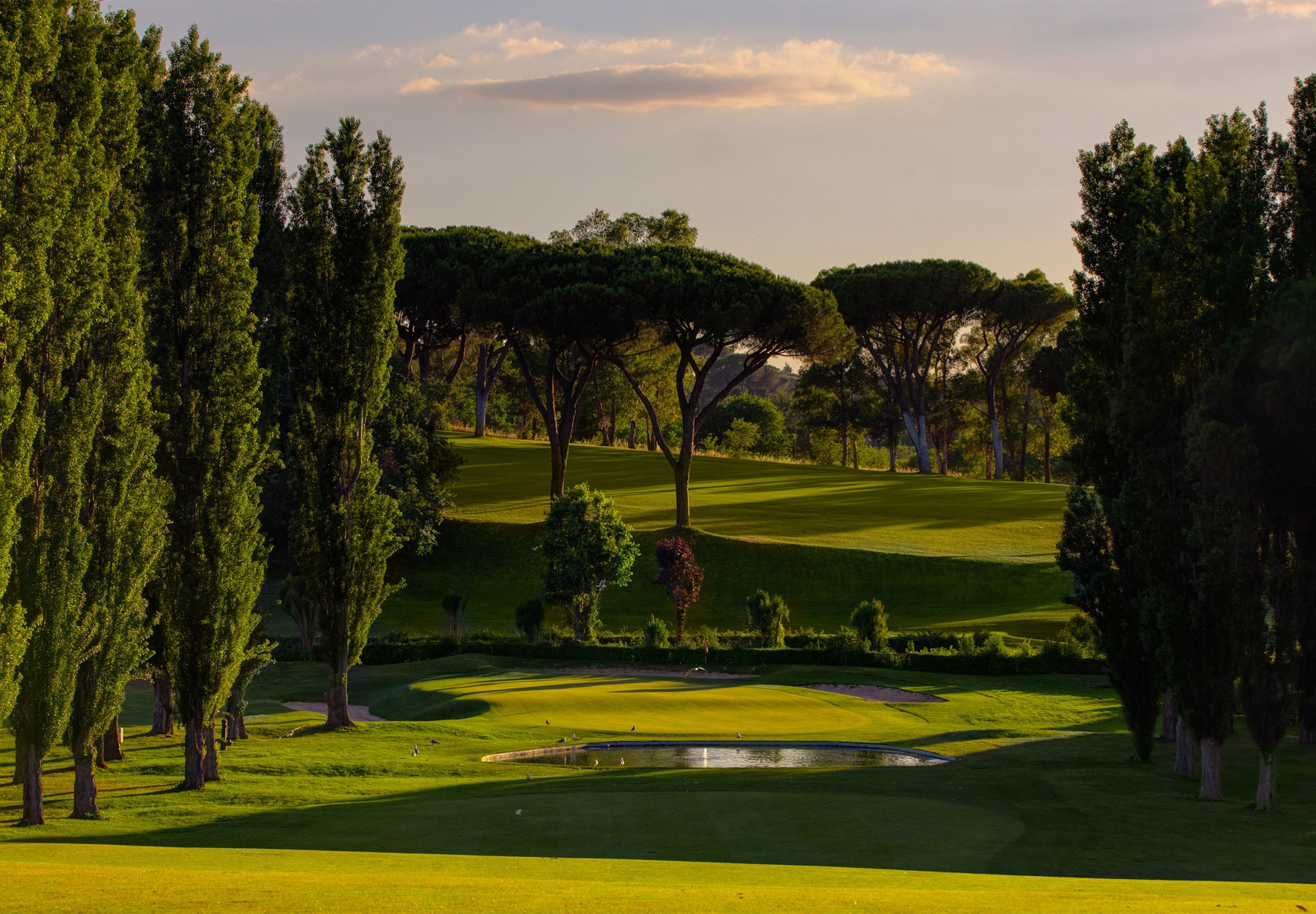 Circolo del Golf Roma Acquasanta campo da golf Lazio