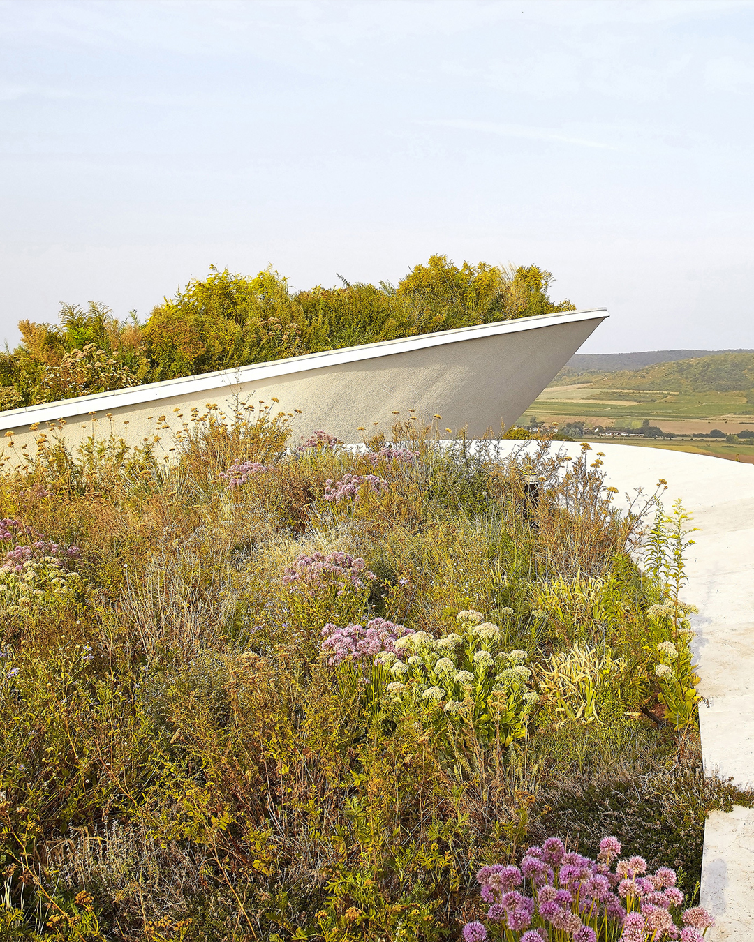 Sauska Tokaj winery cantina vino ungheria design architettura