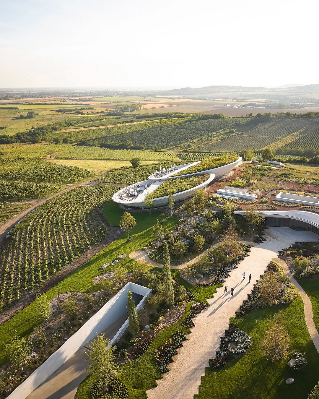 Sauska Tokaj winery cantina vino ungheria design architettura
