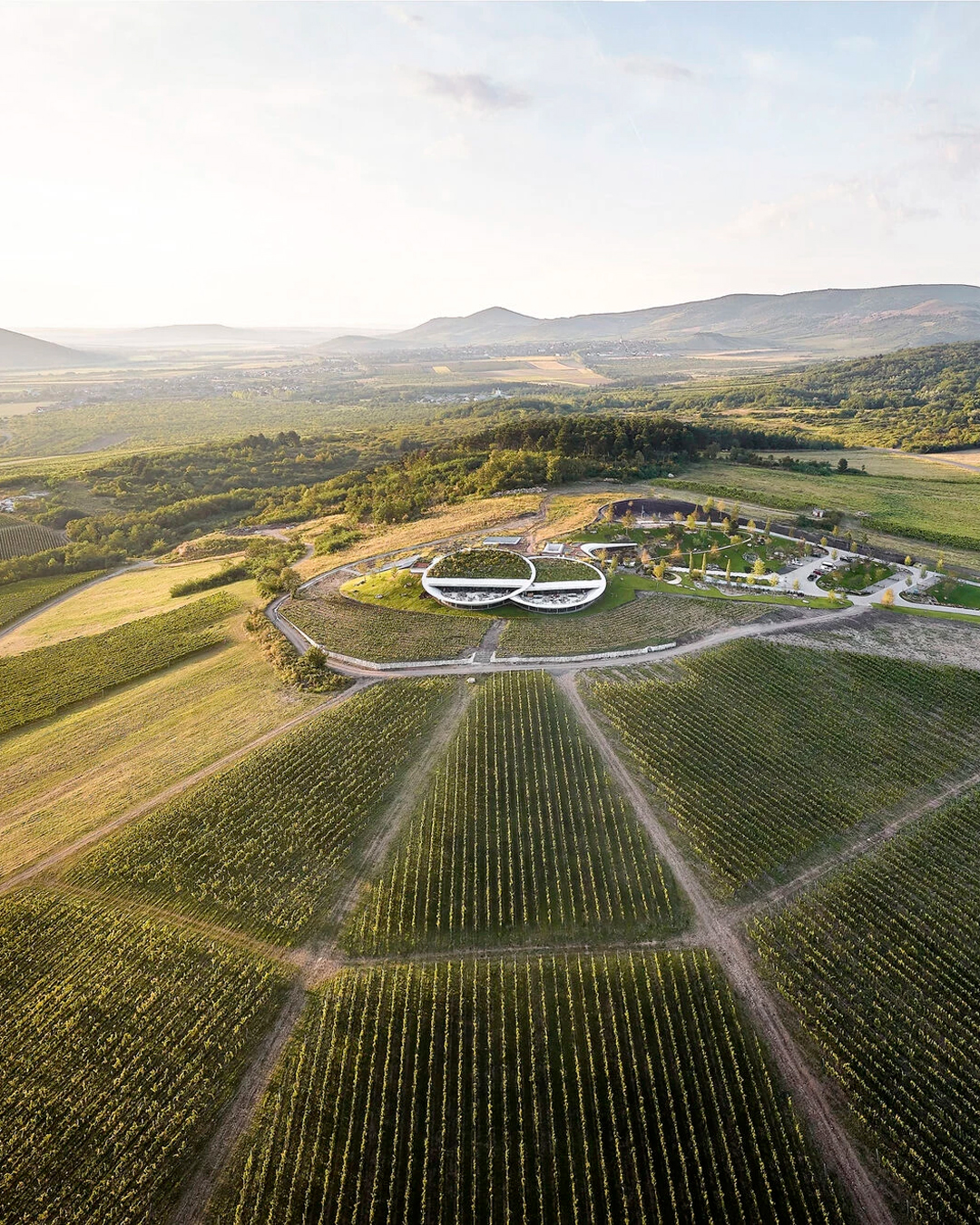 Sauska Tokaj winery cantina vino ungheria design architettura