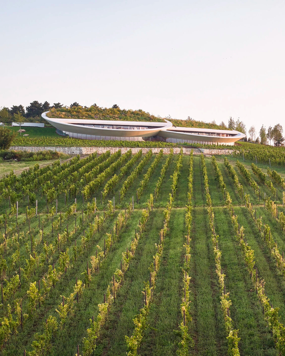 Sauska Tokaj winery cantina vino ungheria design architettura