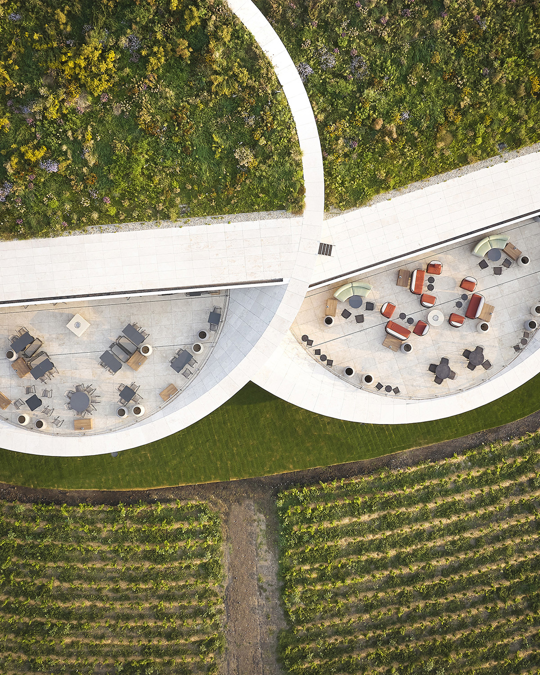 Sauska Tokaj winery cantina vino ungheria design architettura