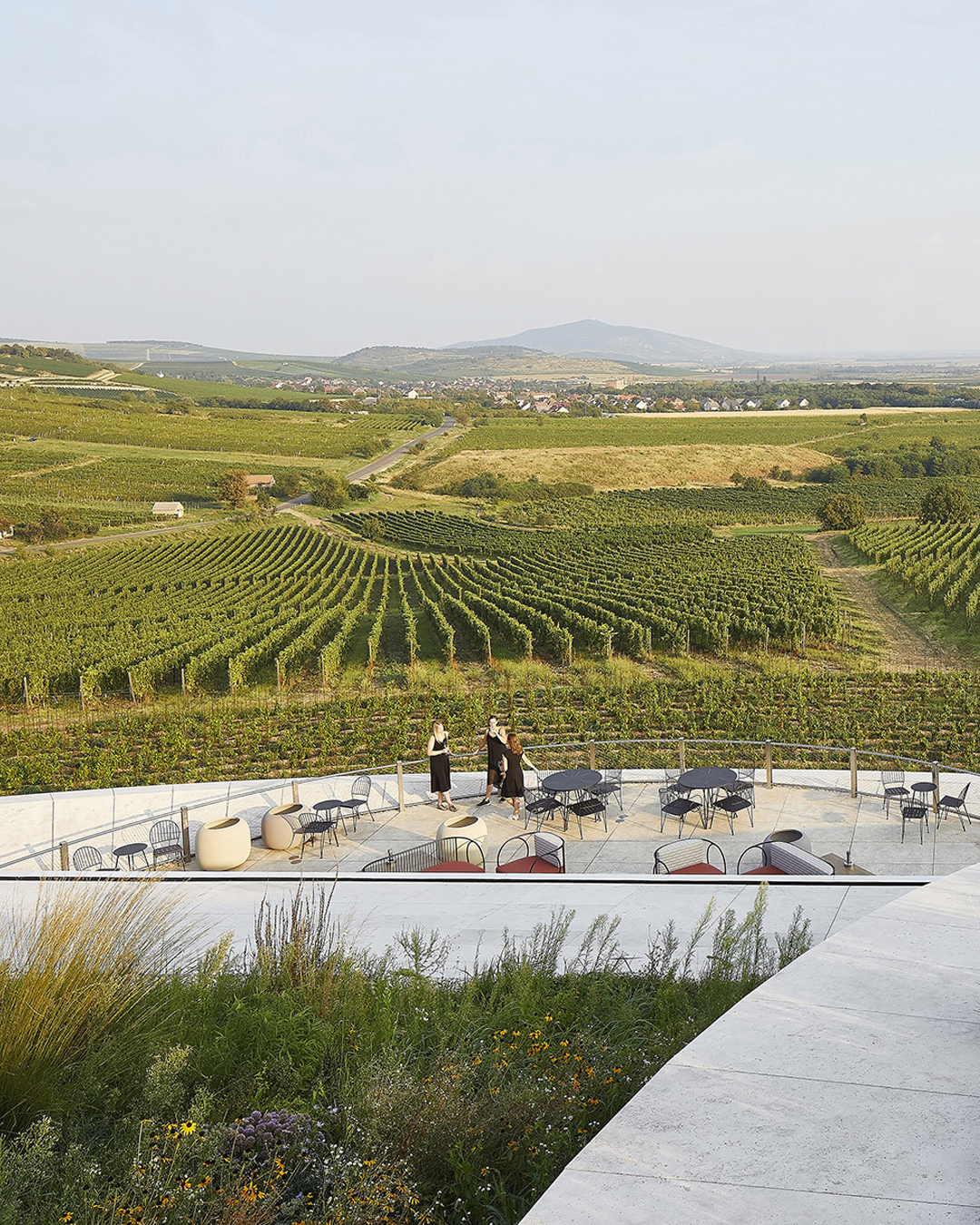 Sauska Tokaj winery cantina vino ungheria design architettura