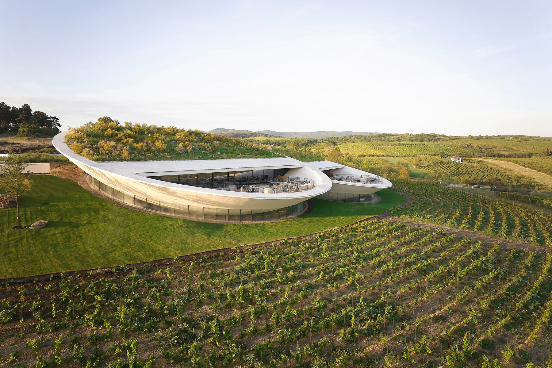 Sauska Tokaj winery cantina vino ungheria design architettura