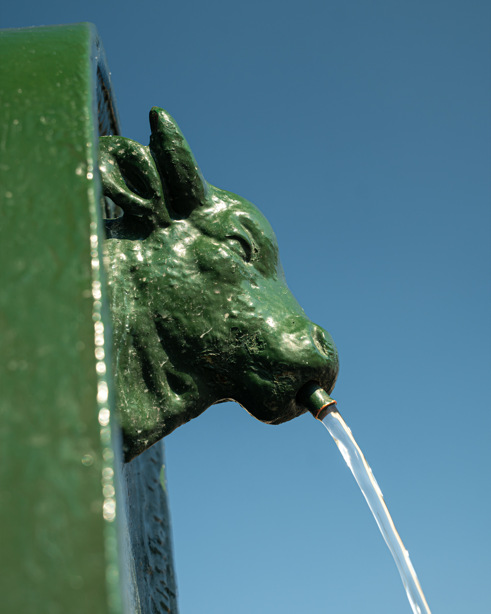 Toret fontana Torino fontanella verde storia nascita