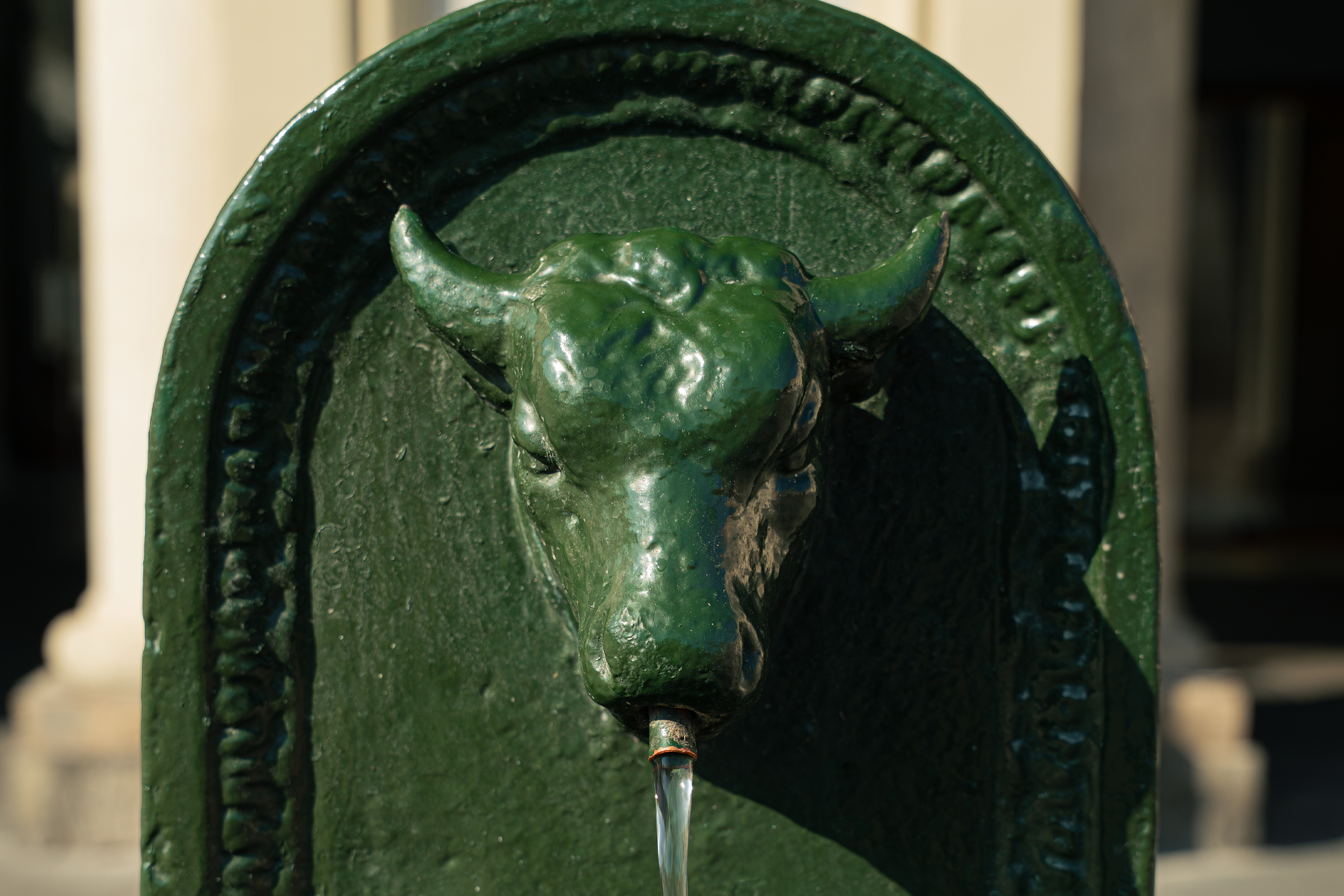 Toret fontana Torino fontanella verde storia nascita