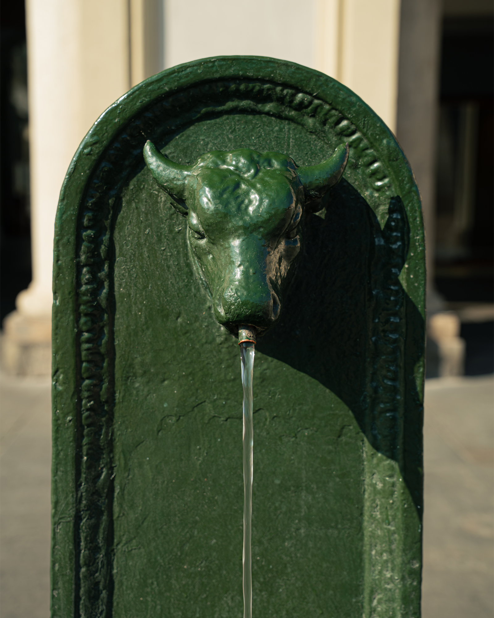 Toret fontana Torino fontanella verde storia nascita